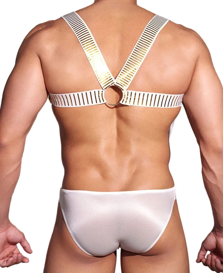 Close-up detail of straps and metal rings on men’s harness set