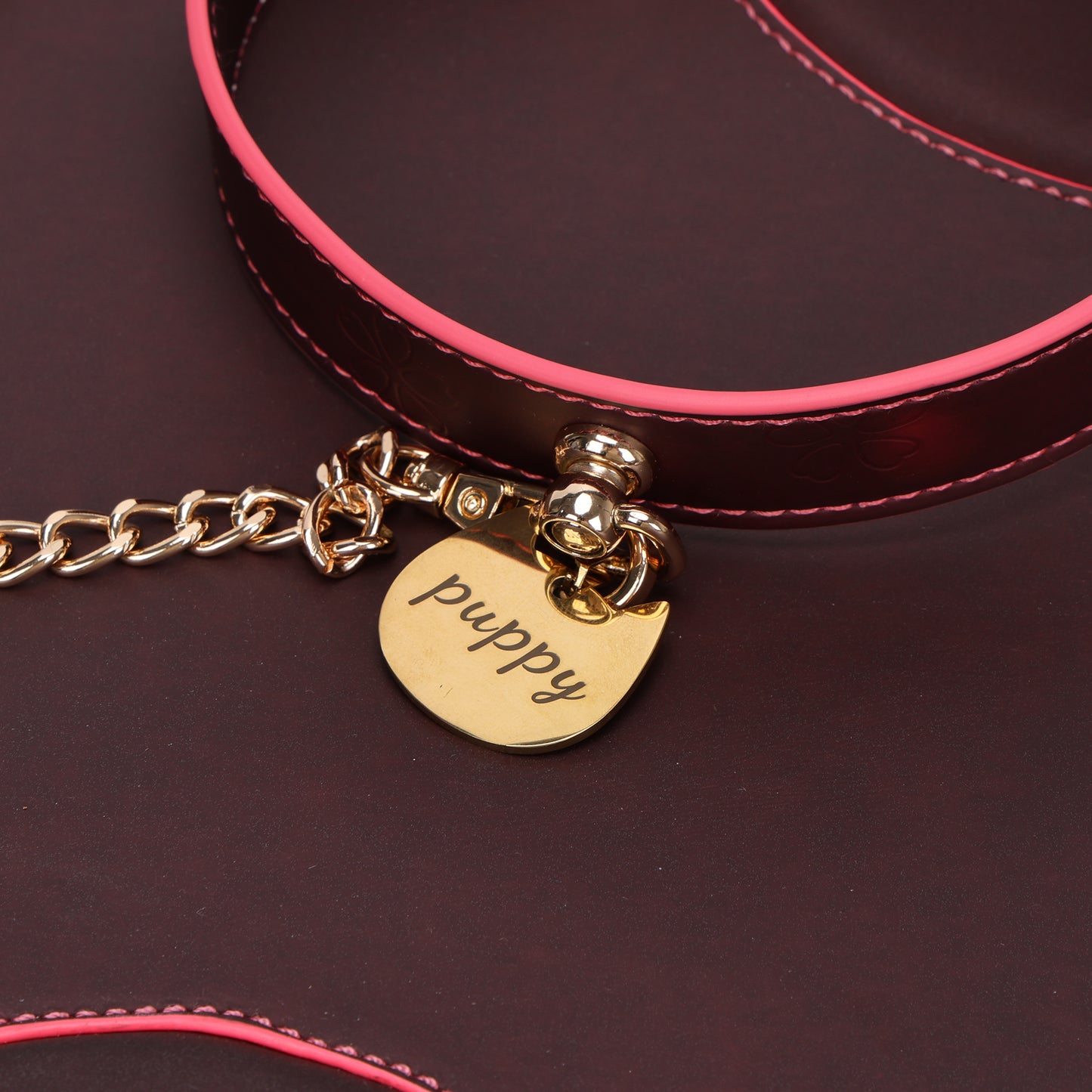 Thermochromic collar with gold puppy tag detail